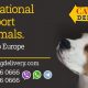 Международная доставка домашних животных